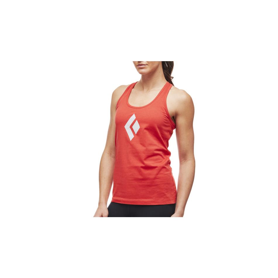 product/b/l/black-diamond_apdg50-656_paintbrush_2.jpg