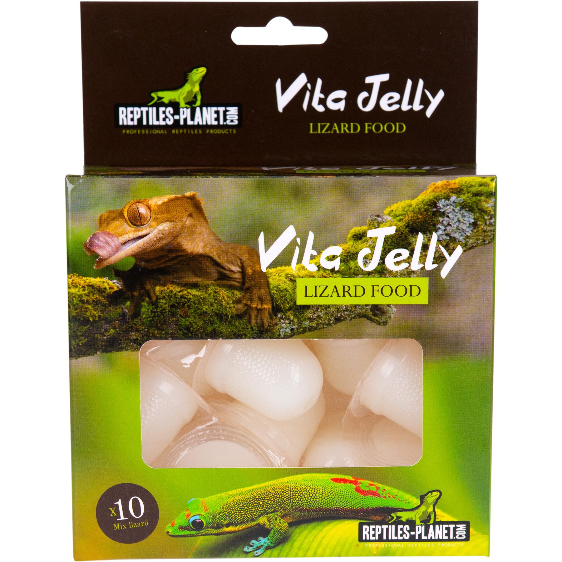product/r/e/reptiles-planet_rp875926_vert_1.jpg