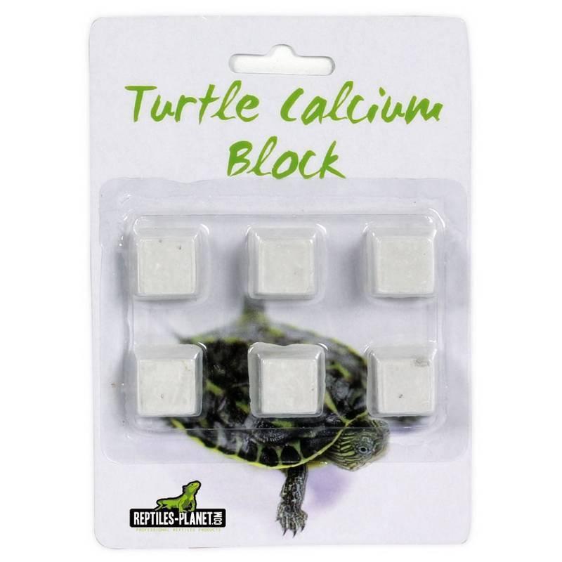 product/r/e/reptiles-planet_rp875990_blanc_1.jpg