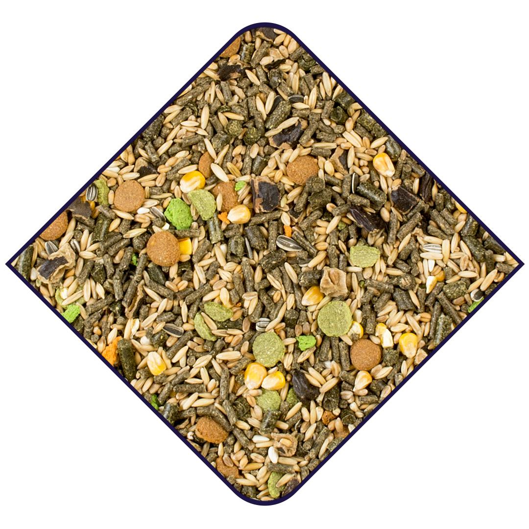 product/w/i/witte-molen_655080_multicolore_4.jpg