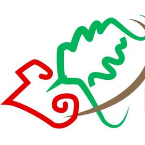 Maillots Euskarians 