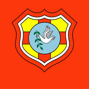 Maillots Tonga