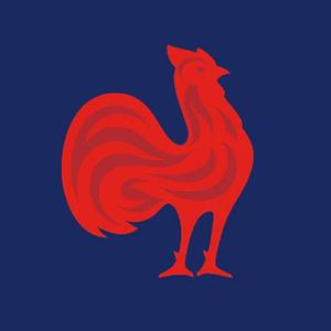 Maillots Equipe de France