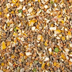 12184-complement-alimentaire-duvoplus-beige-20-kg