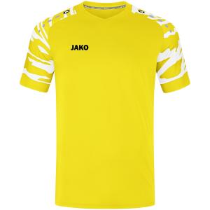product/j/a/jako_4244_303.jpg