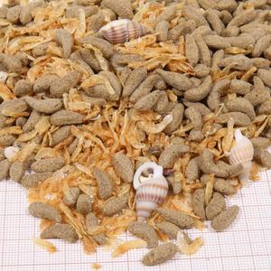 jb723420-complement-alimentaire-jbl-proterra-molluscus-marron