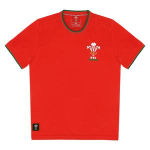 58140002-maillot-enfant-pays-de-galles-ca-groc-rouge