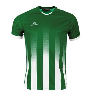 410010-1200-maillot-stanno-vivid-green-white